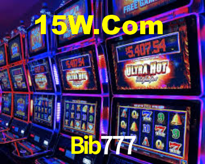 Interface Premium Bib777