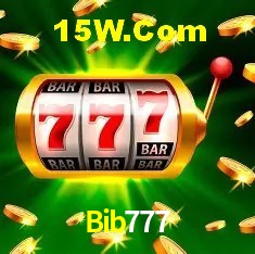 Sistemas de Segurança Bib777